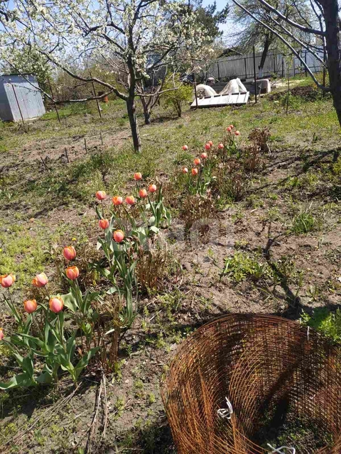 Продажа дачи, 120м <sup>2</sup>, 5 сот., Саратов, Саратовская область,  Саратов