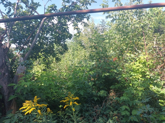 Продажа дома, 85м <sup>2</sup>, 4 сот., Саратов, Саратовская область,  Волжский 