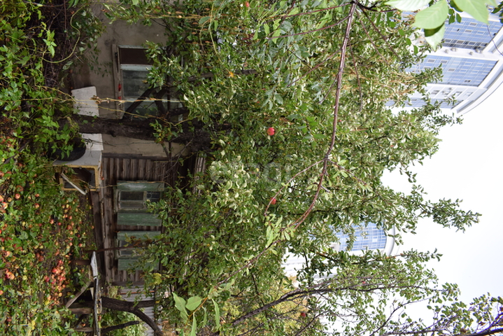 Продажа участка, Саратов, Саратовская область,  