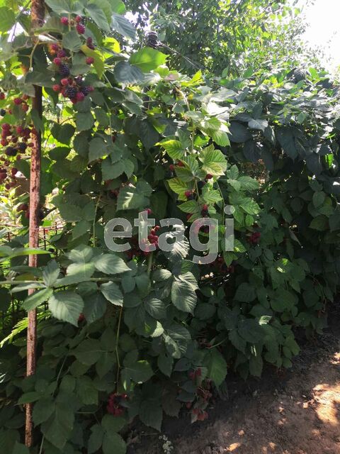 Продажа дачи, 24м <sup>2</sup>, 3 сот., Саратов, Саратовская область,  Энгельс