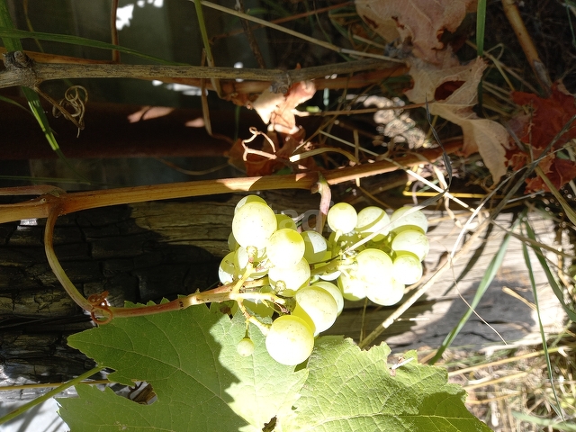 Продажа участка, Саратов, Саратовская область,  Саратов