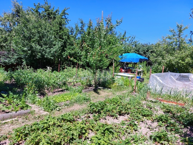 Продажа дачи, 29м <sup>2</sup>, 4 сот., Саратов, Саратовская область,  