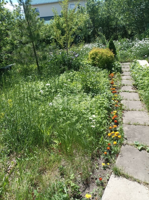 Продажа дачи, 22м <sup>2</sup>, 6 сот., Саратов, Саратовская область,  Заводской