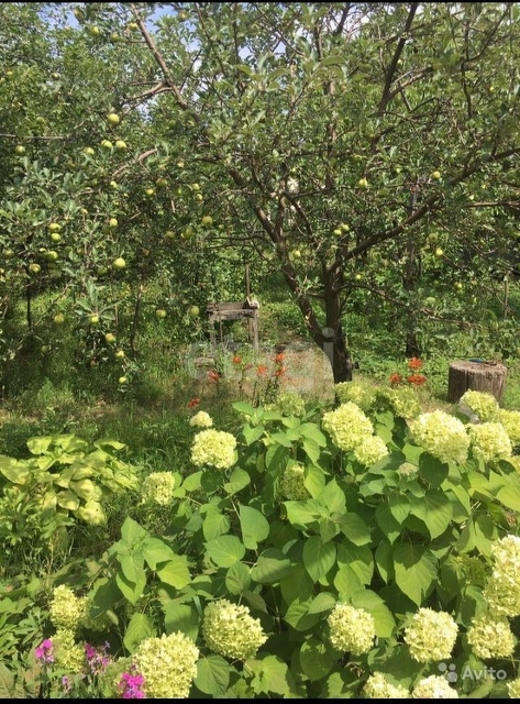 Продажа дачи, 32м <sup>2</sup>, 5 сот., Саратов, Саратовская область,  