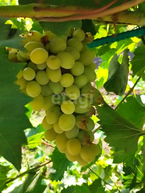 Продажа дома, 96м <sup>2</sup>, 7 сот., Саратов, Саратовская область,  Волжский 