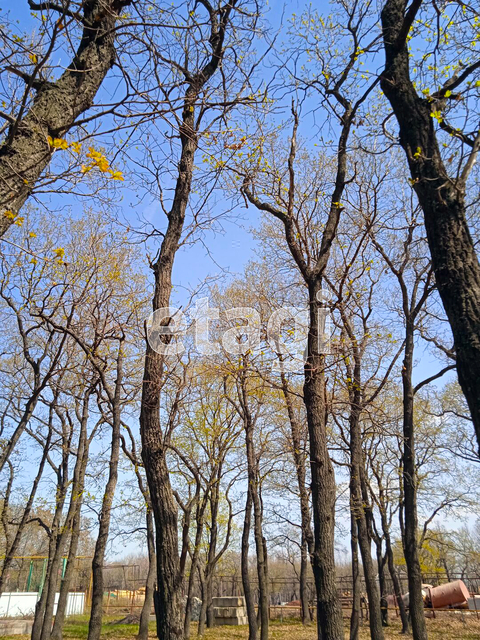 Продажа участка, Саратов, Саратовская область,  