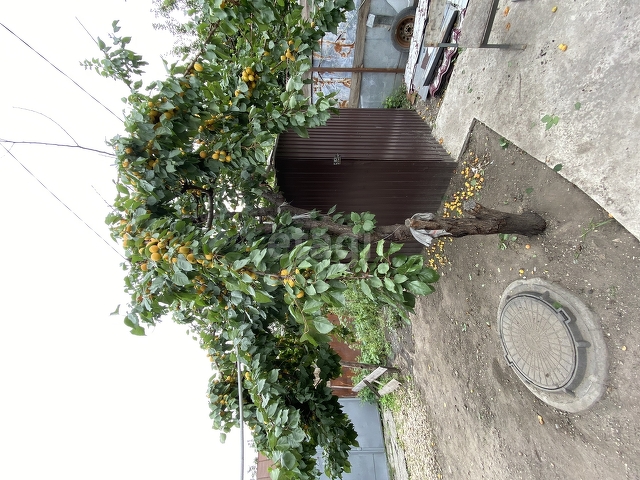 Продажа дома, 16м <sup>2</sup>, 1 сот., Саратов, Саратовская область,  Кировский