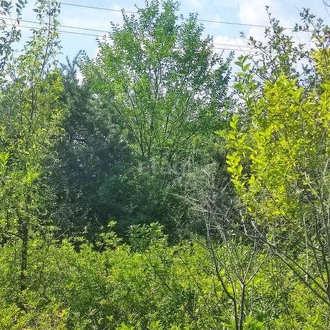 Продажа участка, Саратов, Саратовская область,  Саратов