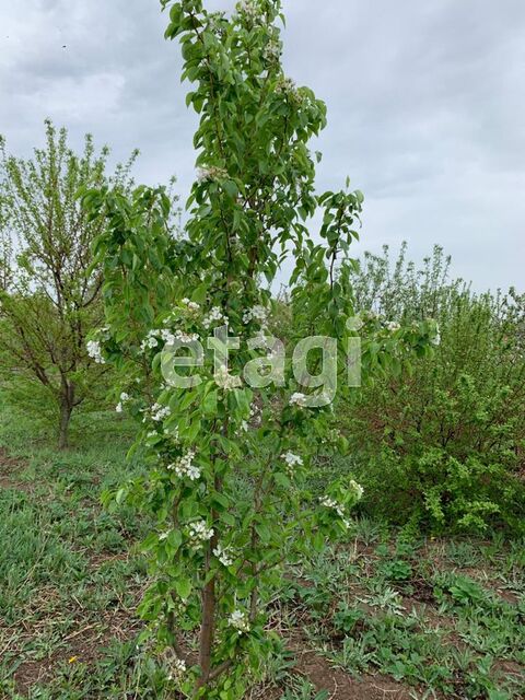 Продажа дома, 160м <sup>2</sup>, 25 сот., Саратов, Саратовская область,  Энгельс