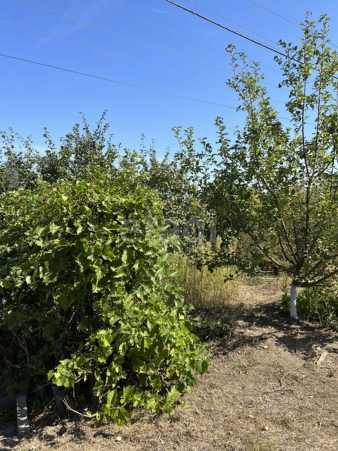 Продажа дачи, 44м <sup>2</sup>, 5 сот., Саратов, Саратовская область,  Саратов