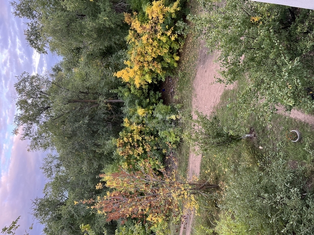 Продажа 2-комнатной квартиры, Саратов, Саратовская область,  Приволжский