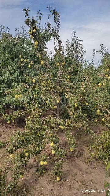 Продажа дома, 68м <sup>2</sup>, 8 сот., Саратов, Саратовская область,  Энгельсский