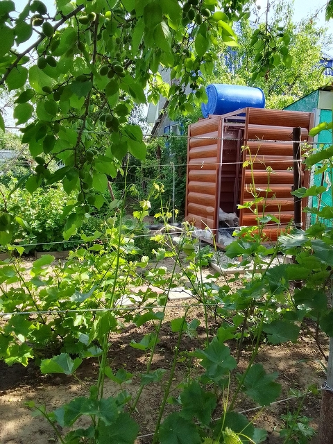 Продажа дачи, 24м <sup>2</sup>, 3 сот., Саратов, Саратовская область,  Энгельс