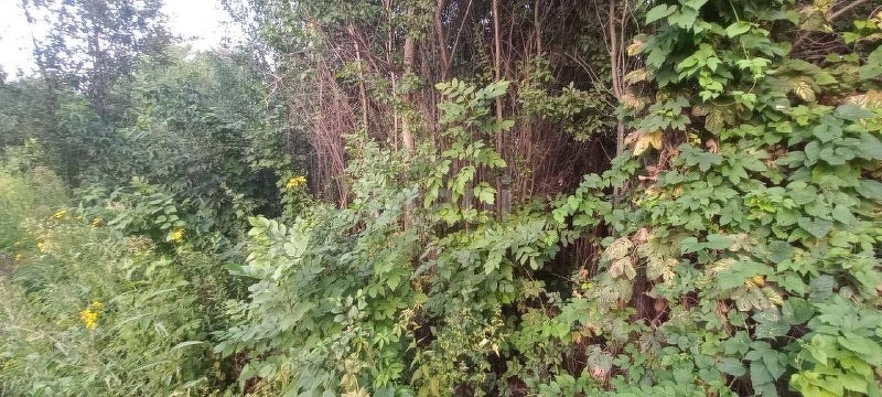 Продажа участка, Саратов, Саратовская область,  Волжский 