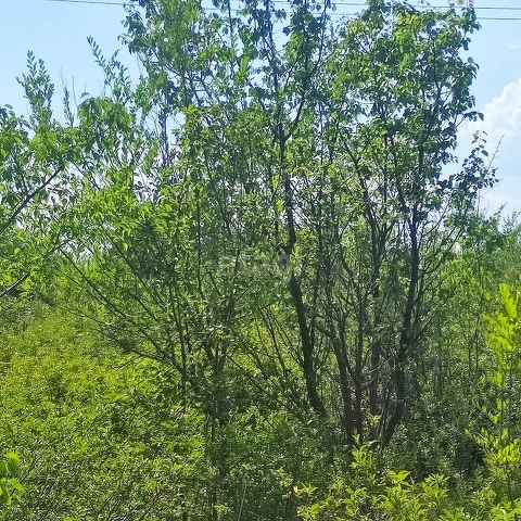 Продажа участка, Саратов, Саратовская область,  Саратов