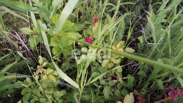 Продажа участка, Саратов, Саратовская область,  Саратов