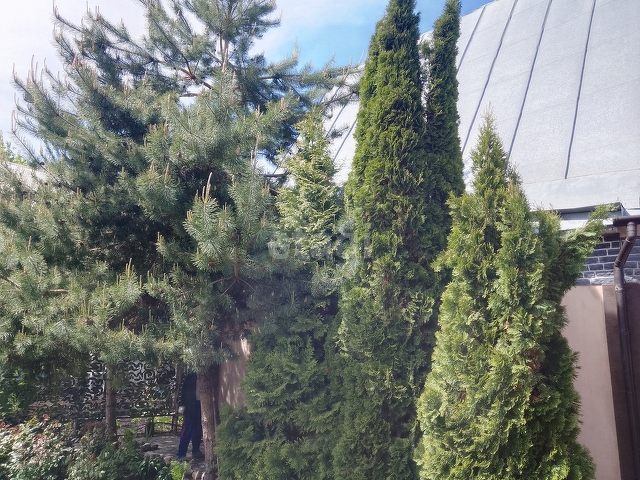 Продажа дачи, 64м <sup>2</sup>, 4 сот., Саратов, Саратовская область,  Саратов