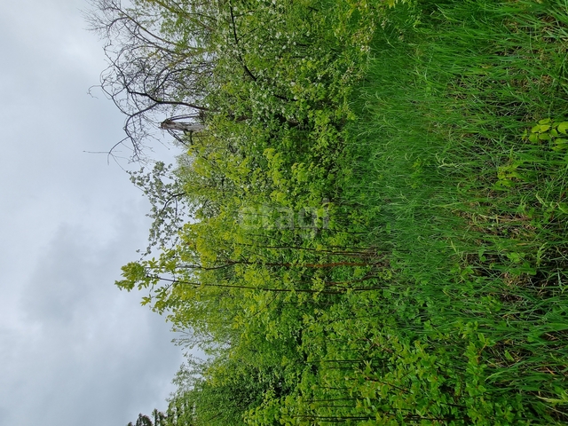 Продажа участка, Саратов, Саратовская область,  Энгельс