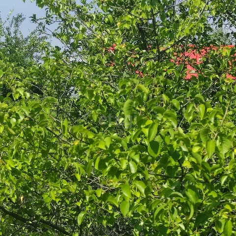 Продажа участка, Саратов, Саратовская область,  Саратов