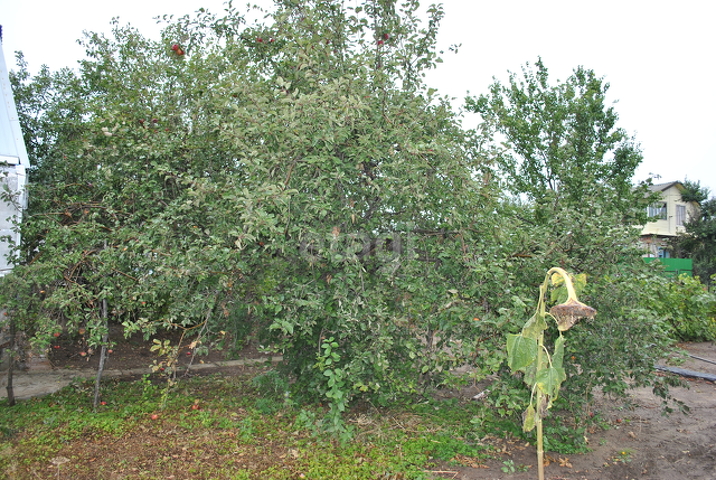 Продажа участка, Саратов, Саратовская область,  Энгельс