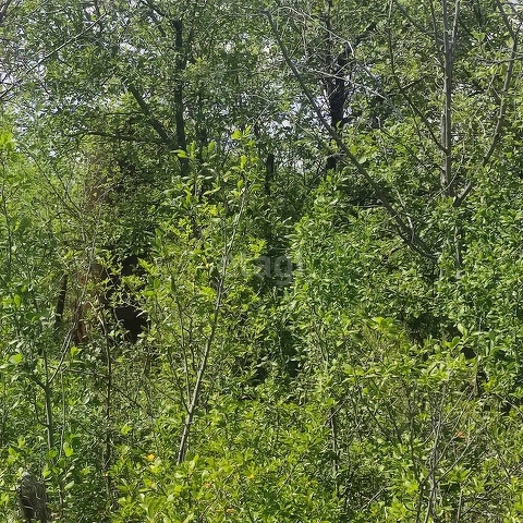 Продажа участка, Саратов, Саратовская область,  Саратов