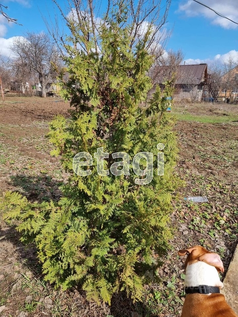 Продажа дачи, 60м <sup>2</sup>, 7 сот., Саратов, Саратовская область,  