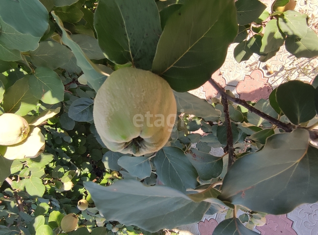 Продажа дома, 96м <sup>2</sup>, 7 сот., Саратов, Саратовская область,  Волжский 