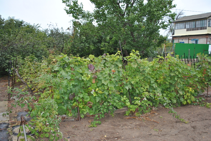 Продажа участка, Саратов, Саратовская область,  Энгельс