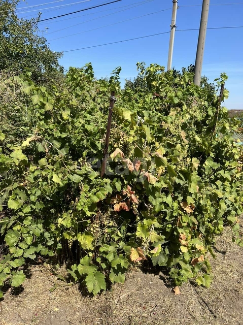 Продажа дачи, 44м <sup>2</sup>, 5 сот., Саратов, Саратовская область,  Саратов