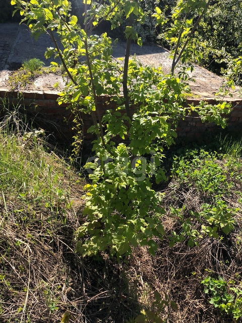 Продажа участка, Саратов, Саратовская область,  Саратов