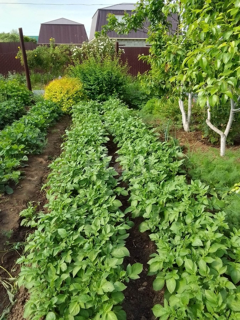 Продажа дачи, 24м <sup>2</sup>, 3 сот., Саратов, Саратовская область,  Энгельс