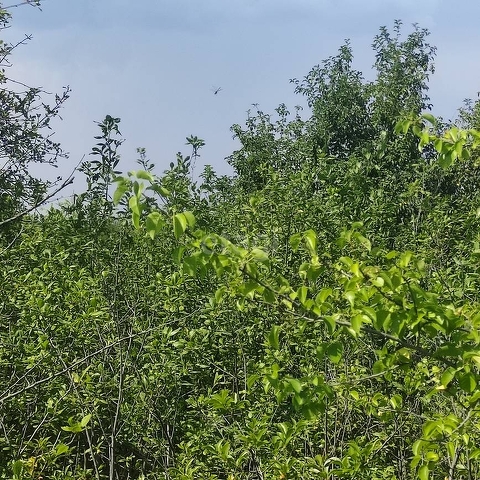 Продажа участка, Саратов, Саратовская область,  Саратов