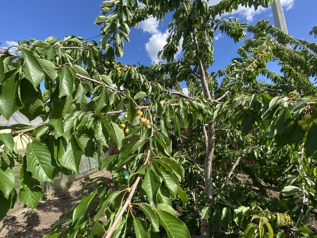 Продажа дома, 154м <sup>2</sup>, 12 сот., Саратов, Саратовская область,  