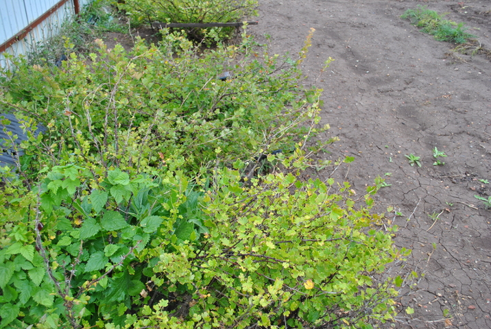 Продажа участка, Саратов, Саратовская область,  Энгельс