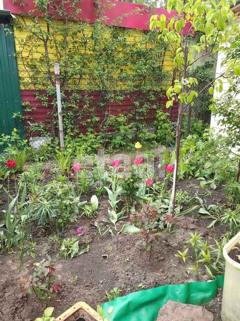 Продажа дачи, 80м <sup>2</sup>, 5 сот., Саратов, Саратовская область,  Саратов