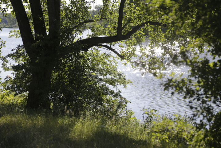 Продажа дома, 187м <sup>2</sup>, 20 сот., Саратов, Саратовская область,  