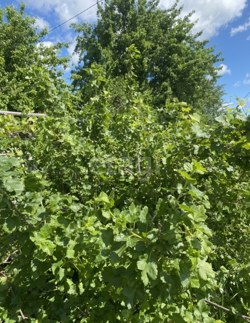 Продажа дачи, 37м <sup>2</sup>, 3 сот., Саратов, Саратовская область,  