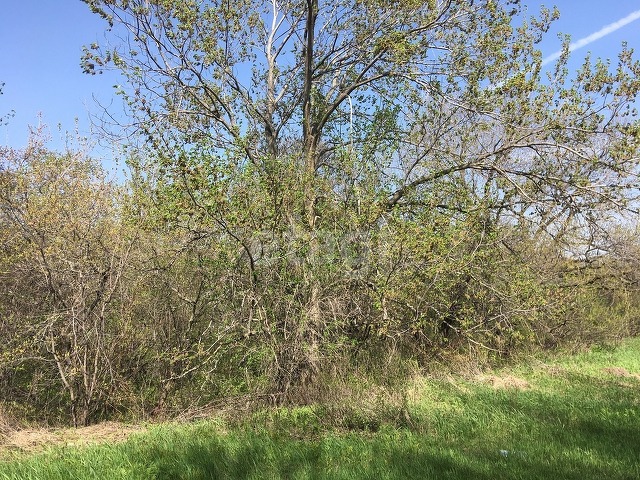 Продажа участка, Саратов, Саратовская область,  Заводской