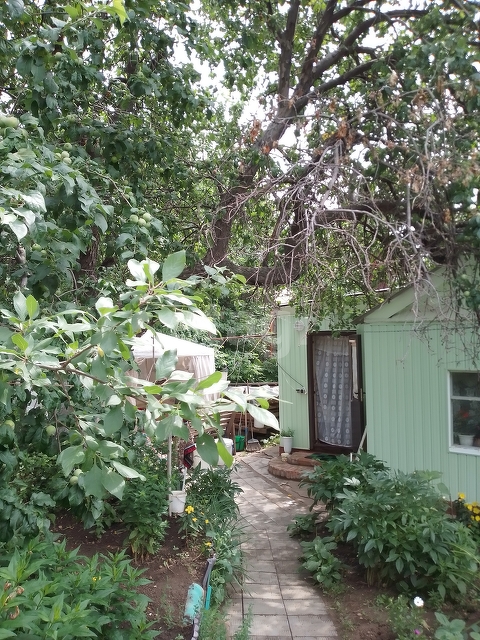 Продажа дома, 41м <sup>2</sup>, 2 сот., Саратов, Саратовская область,  Волжский 