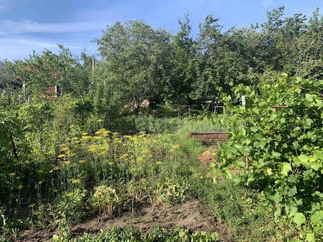 Продажа дачи, 29м <sup>2</sup>, 3 сот., Саратов, Саратовская область,  