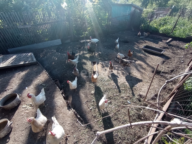 Продажа дома, 102м <sup>2</sup>, 17 сот., Саратов, Саратовская область,  Ленинский