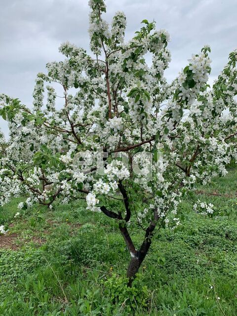 Продажа дома, 160м <sup>2</sup>, 25 сот., Саратов, Саратовская область,  Энгельс