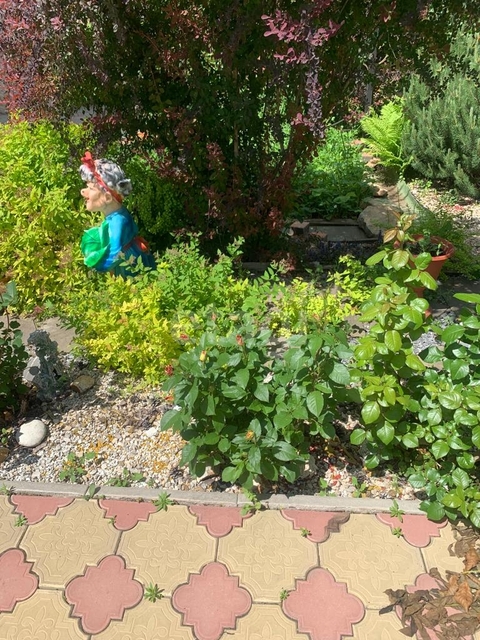 Продажа дома, 250м <sup>2</sup>, 5 сот., Саратов, Саратовская область,  