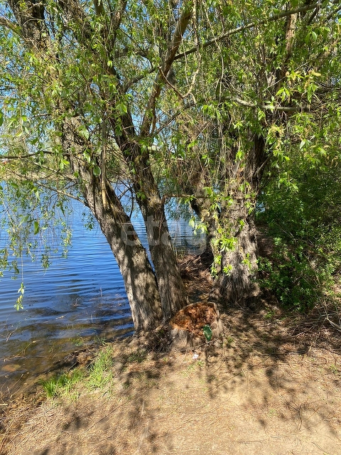 Продажа дачи, 35м <sup>2</sup>, 6 сот., Саратов, Саратовская область,  