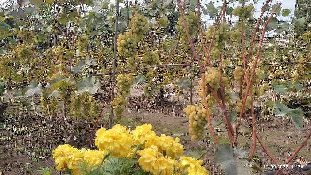 Продажа дома, 68м <sup>2</sup>, 8 сот., Саратов, Саратовская область,  Энгельсский