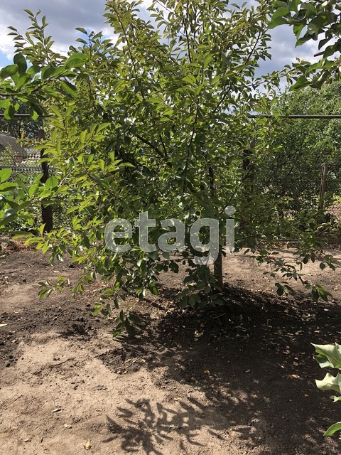 Продажа дома, 47м <sup>2</sup>, 6 сот., Саратов, Саратовская область,  