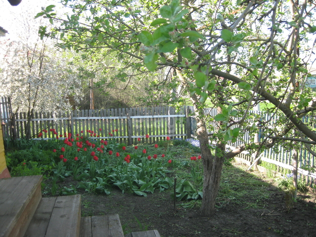 Продажа дома, 47м <sup>2</sup>, 30 сот., Саратов, Саратовская область,  Саратов