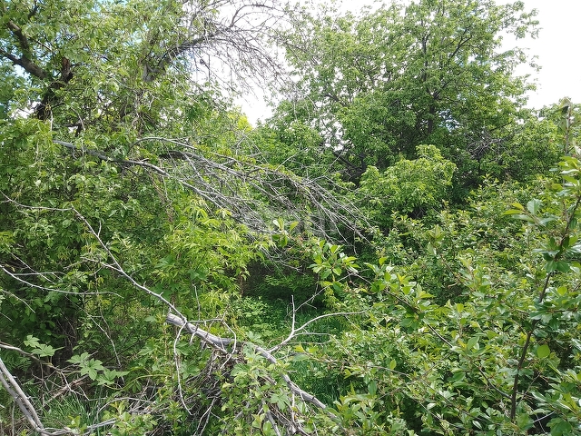 Продажа участка, Саратов, Саратовская область,  Ленинский