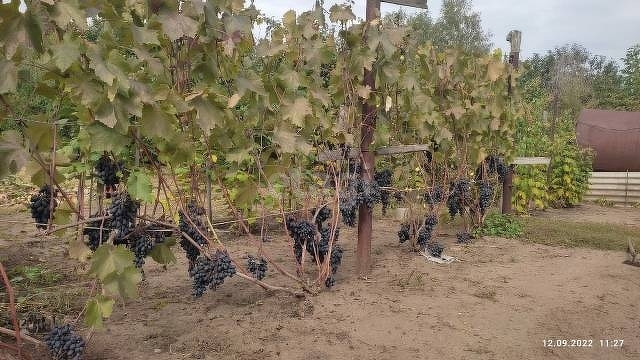 Продажа дома, 68м <sup>2</sup>, 8 сот., Саратов, Саратовская область,  Энгельсский