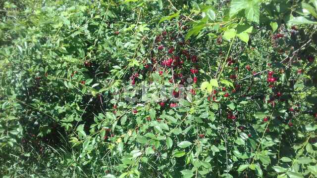 Продажа участка, Саратов, Саратовская область,  Энгельс